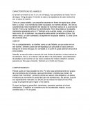 Caracteristicas del abadejo