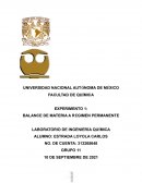 BALANCE DE MATERIA A RÉGIMEN PERMANENTE LABORATORIO DE INGENIERÍA QUÍMICA