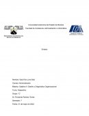 Ensayo Diseño Organizacional