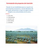 Formulación de proyectos de inversion. Estudio Económico - financiero