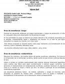 Área de enseñanza: Juego