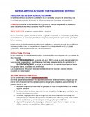 SISTEMA NERVIOSO AUTONOMO Y ENTÉRICO