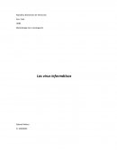 Los virus informáticos
