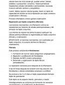 Curación de las heridas