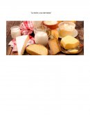 La leche y sus derivados. Productos lácteos: cuáles son y características