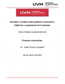 Actividad 1| Análisis sobre gobierno corporativo | Objetivos y organización de la empresa