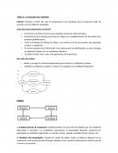 LA FUNCION DEL CONTROL