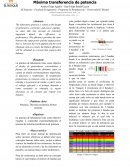 Maxima trasferencia de potencia