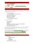 Trabajo reacciones químicas