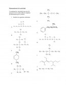 Bioquimica. Taller nomenclatura