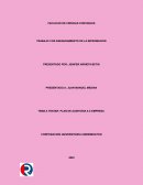 PLAN DE AUDITORIA A X EMPRESA