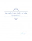 Aprendizaje en el nivel medio del parvulo