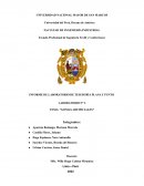 LABORATORIO N° 2 TEMA: “GOMAS ARTIFICIALES”