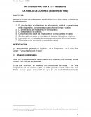 Trabajo Practico Medio Ambiente