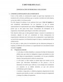 CASO SAKANA S.A.C. IDENTIFICACIÓN DE PROBLEMAS Y SOLUCIONES
