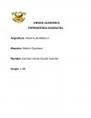 Ensayo de historia de México