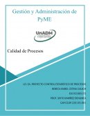 CALIDAD EN PROCESOS, EVIDENCIA UNIDAD 3