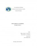 NIÑEZ TEMPRANA E INTERMEDIA