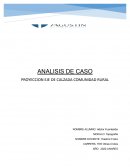 PROYECCION EJE DE CALZADA COMUNIDAD RURAL