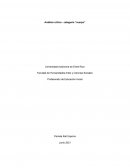 FHAyCS - UADER - Didáctica de la Educación Física - Análisis critico - Categoría “cuerpo”