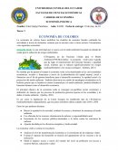 ECONOMÍA DE COLORES