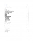 Diagnostico Situacional de Salud