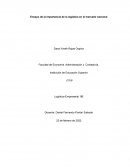 Ensayo de la importancia de la logística en el mercado nacional