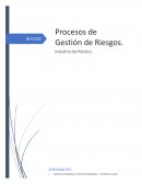 Proceso de gestion de riesgo