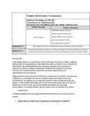 SISTEMA DE INFORMACIÓN DE MERCADOTECNIA