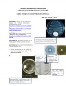 CASO 5: PRUEBAS DE SUSCEPTIBILIDAD BACTERIANA
