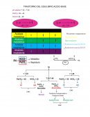 TRASTORNO DEL EQUILIBRIO ACIDO-BASE