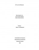 Taller circo de la mariposa