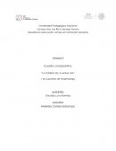 Cuadro comparativo: “LA SONRISA DE LA MONA LISA” y los supuestos de Ángel Barriga