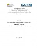 Principios inspiradores de una gestión pública de calidad