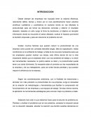 INTRODUCCION DE SERVICIOS PETROLEROS C.A