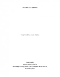 PROGRAMA DE ESPECIALIZACIÓN EN GERENCIA DE PROYECTOS. Página 1