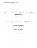 Plan Estratégico de Capacitación en el Sistema de Gestión de Salud y Seguridad, CEMEX