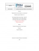 Mejoramiento de sistemas logísticos y de información