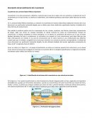 Cruzamiento de carretera federal México-Querétaro