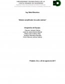 Modulo amplificador de audio estéreo