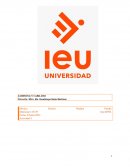 Lobbying y Cabildeo Internacional