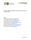 Análisis de herramientas para el diagnóstico organizacional en regiones fronterizas de Colombia y México