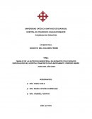 MANEJO DE LA NUTRICION PARENTERAL EN NEONATOS CON CUIDADOS ESPECIALES EN EL HOSPITAL