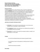 Resumen Empresa Individual