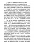 La naturaleza de las ciudades: el alcance y los límites de la teoría urbana