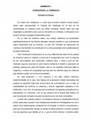 RESUMEN DEL PROYECTO PALACIOS