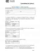 COSTOS CONJUNTOS