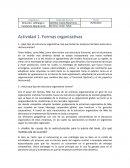 Actividad 1. Formas organizativas