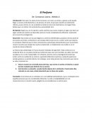Ensayo libro el Perfume