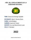 Crianza de la Sitotroga Cerealella